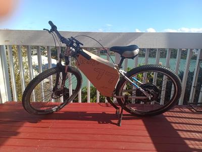 Bike Caseing For Trek4 + DS18B20 Temp Sensor Albany Senior High School