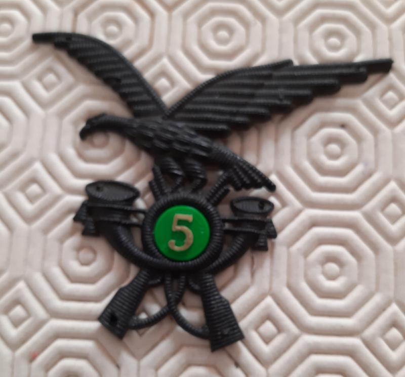 Alpino regiment badge number