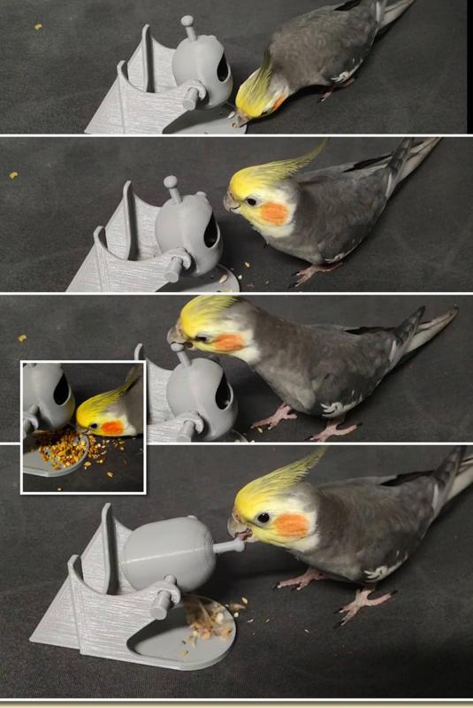 rotating toy for parrots (No supports)