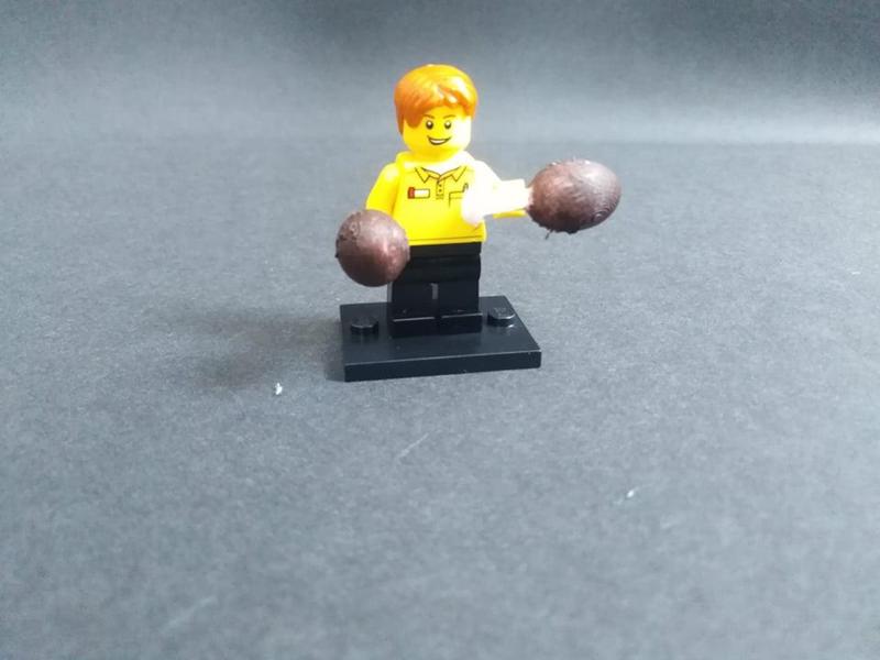 lego kuře (chicken)