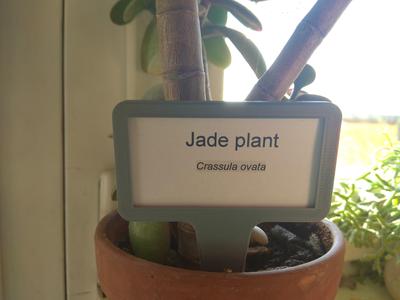 plant tag