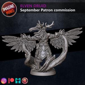 Loyalty Reward 03 Months - Elven Druid