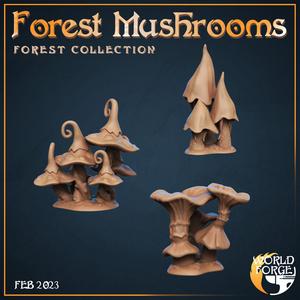 Forest Mushrooms x3