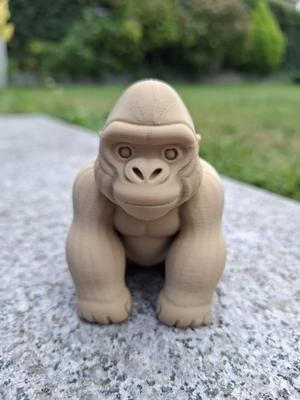 Chill Gorilla — your buff desk buddy