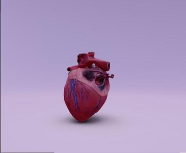 Corazon