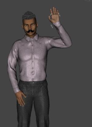 Indian man standing salute 2
