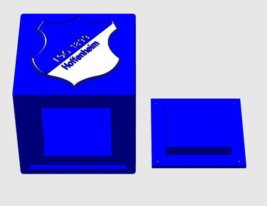 TSG Hoffenheim money box