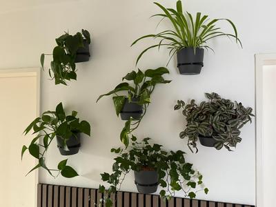 Wall Mount Vase / wall vase