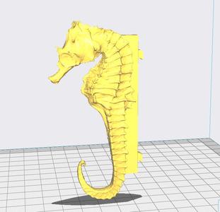 Seahorse Key Holder