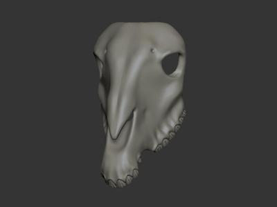 Horse mask Mari Lwyd