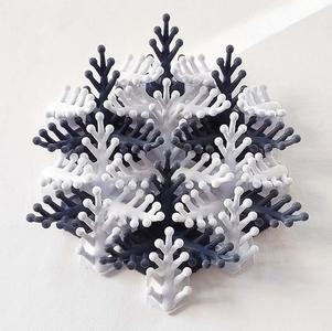 Coral Snowflake Wall Sculpture