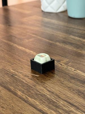 1 Slot Artisan Keycap Display Tray