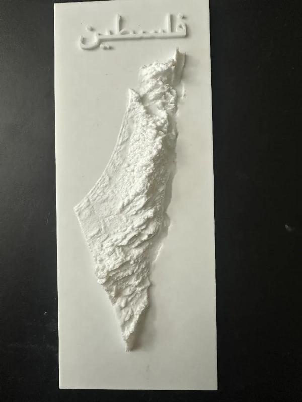 Palestine topographic map.   