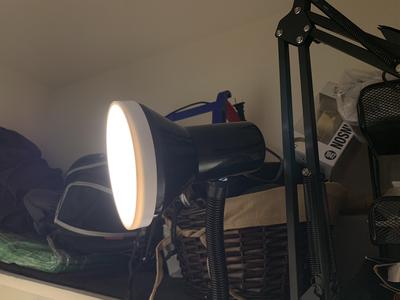 Lamp Light Defuser