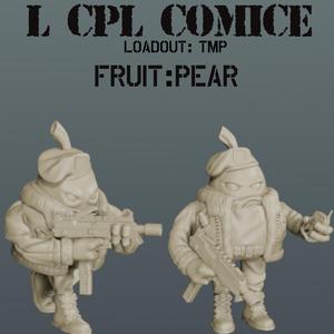 Delta Fruit: L CPL Comice Pear Commando TMP Submachine Gun Loadout