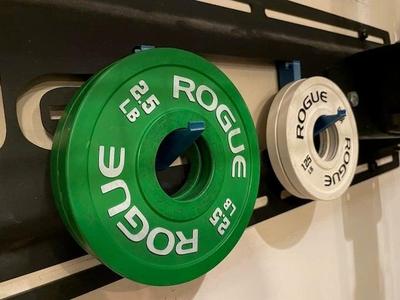 Rogue Stringer Hook