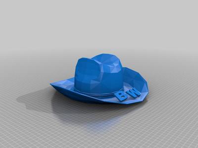 Bridget Watson Fancy Cowboy Hat