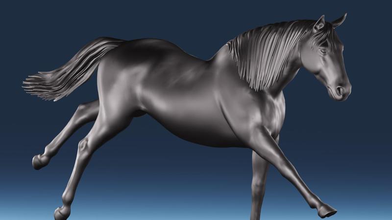 Thoroughbred Horse