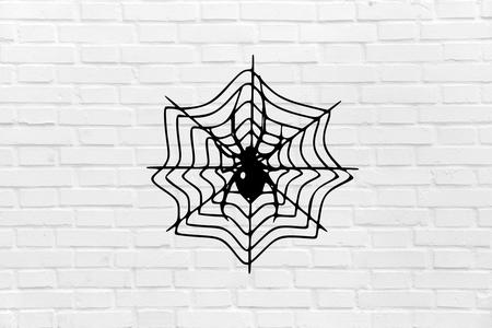 Halloween wall decoration spider web