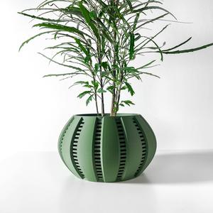 The Balu Planter Pot with Drainage Tray & Stand: Modern and Unique Home Decor for Plants