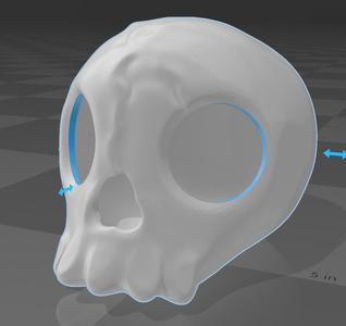 tiny skull
