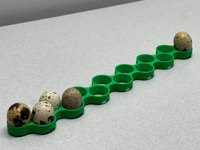 Brinsea Incubator RegularQuail Egg Tray (14 eggs)