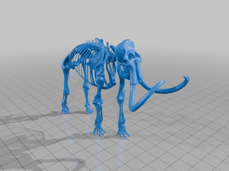 Wooly mammoth skeleton