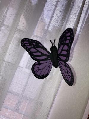 Butterfly with magnet