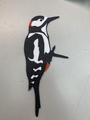 Woodpecker. Solid colors.