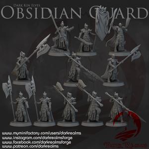 Dark Realms - Dark Kin Elves - Obsidian Guard