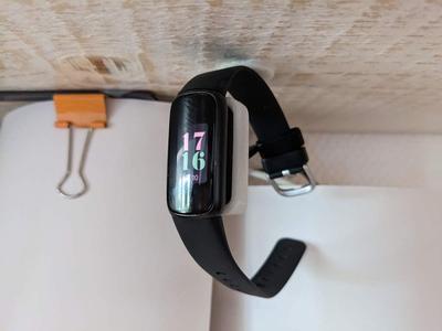 fitbit luxe mount (undermount)