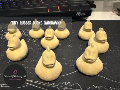 Tiny rubber ducks (Mohawk