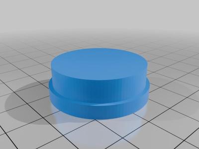 Door Stop Cap