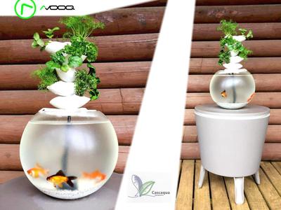 Cascaqua | Cascading Aquaponics System