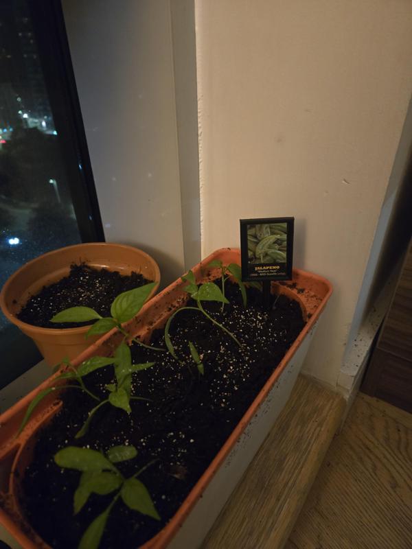 Signpost for Plants and Plantpots