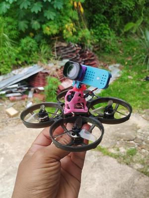 Nano Pod with Runcam Thumb Pro Mount