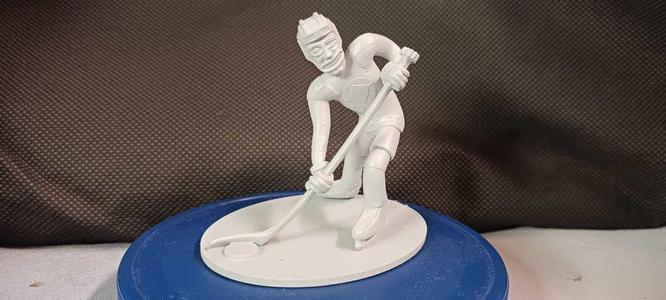 Guardian Hockey Player