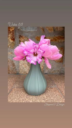 Vase 8.8