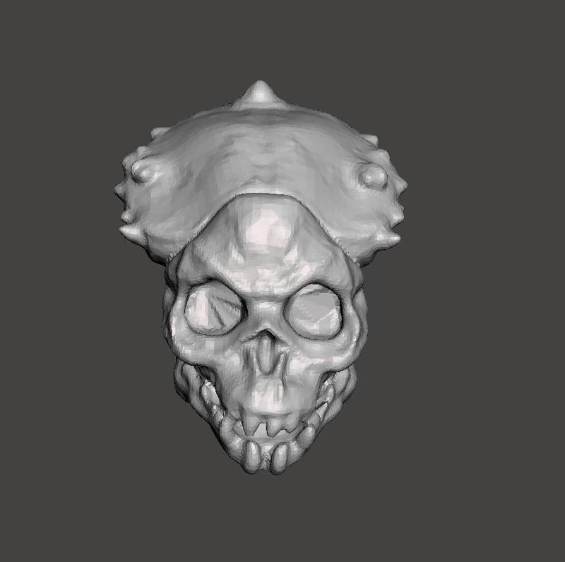 SHAMAN PREDATOR MASK 