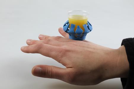 Shot's ring