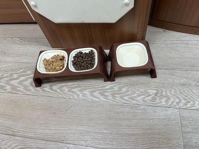 Cat bowl