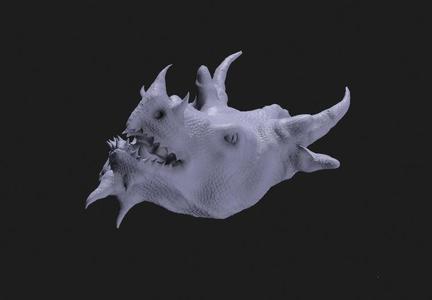 DRAGON HEAD