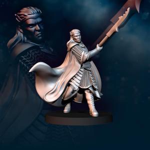 Bloody Elf King on Foot | Bloody Elves | Davale Games | Fantasy