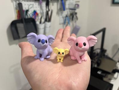 Koala Family