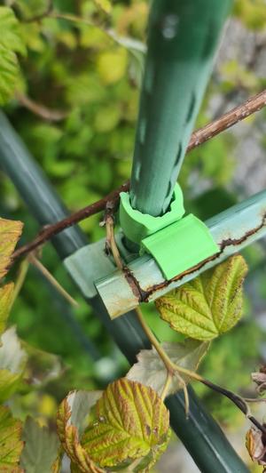 Garden Clip for framing (trellis)