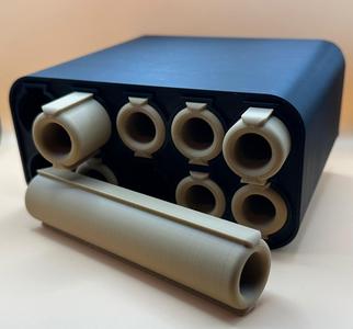 Red Lizard Whiptail Cave