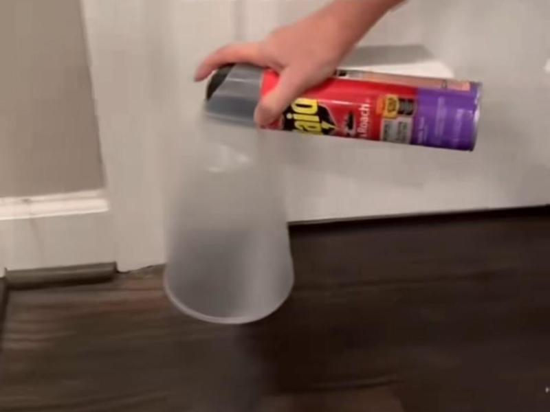 BUG spray attachment-Meaningful Insecticide Cover