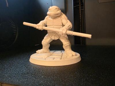 Turtle Warrior with Bo Staff