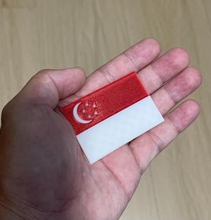Singapore Flag Card/Magnet/Pin/Badge with AMS