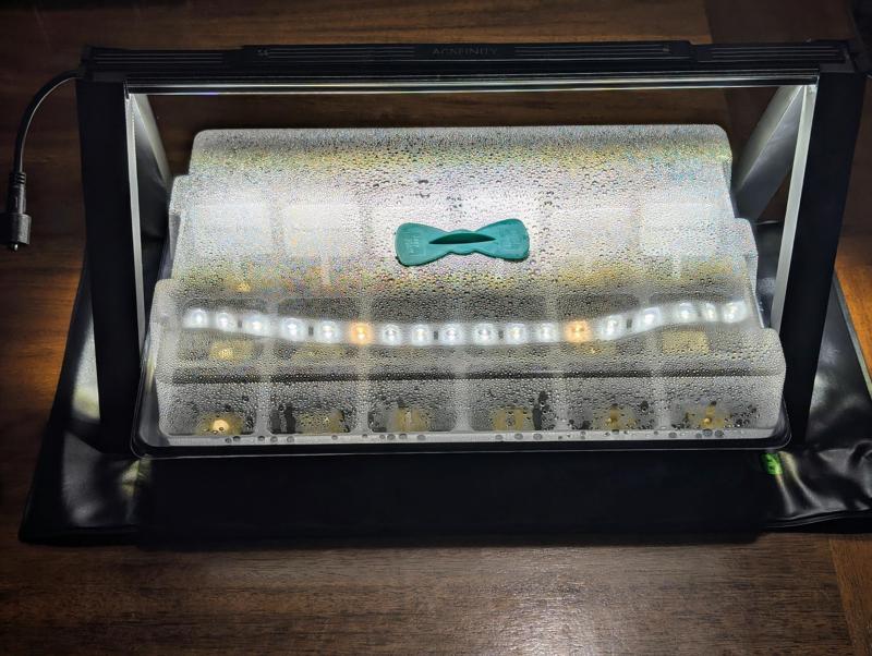 AC Infinity Ionbeam Grow Light Stand